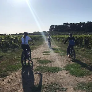 Farm stay Cavalletti, Grottaferrata
